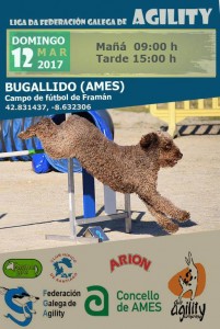 95ª y 96ª Pruebas de la Liga de la Federación Galega de Agility