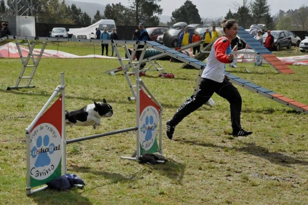 CLASES AGILITY