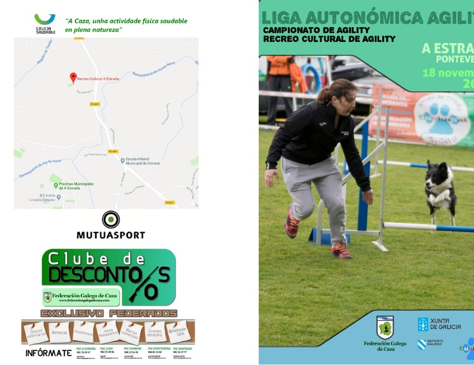 liga utonómica agility